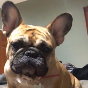 Meet your Posher, Ada